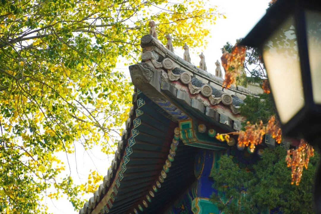 北大经院学者 | 锁凌燕：向精细化运营要财险竞争力