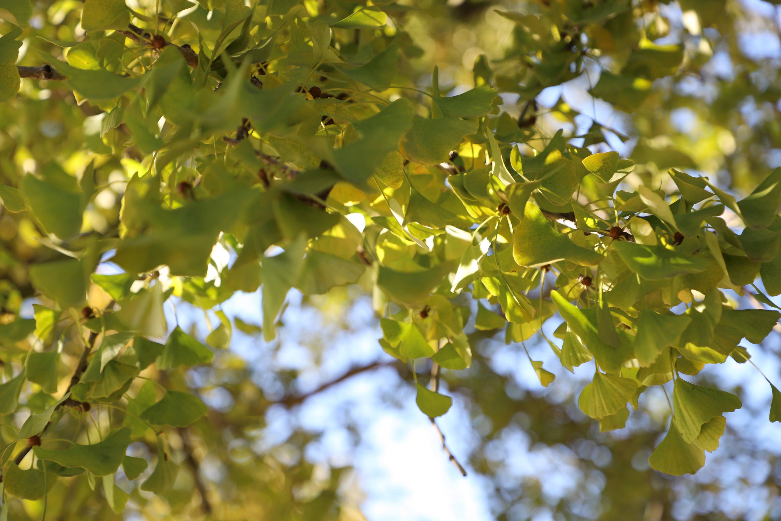 北大经院三位学者共话“十五五”，解锁经济高质量发展密码