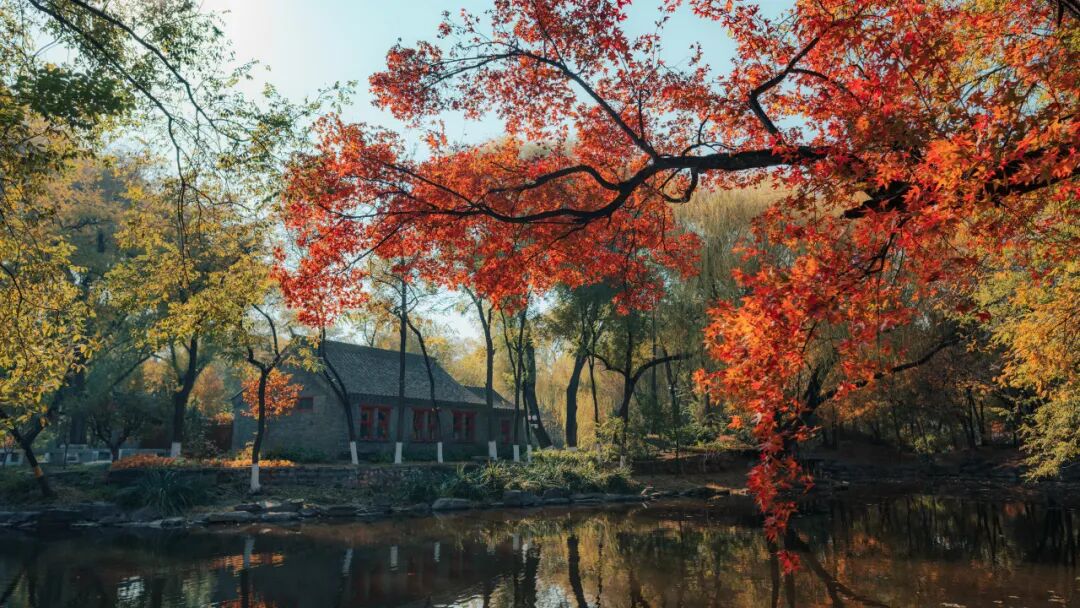 北大经院学者 | 刘新立：为现代化人民城市建设注入新动能