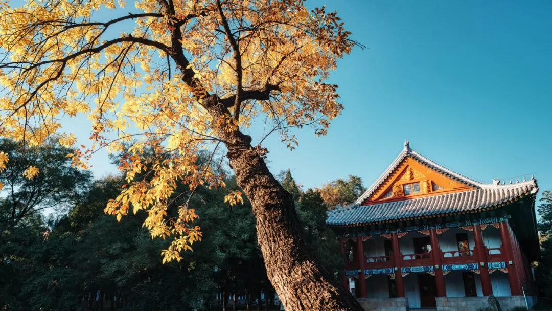 我是这样做学问的 | 刘伟：研理于经，征事于史，济世于民