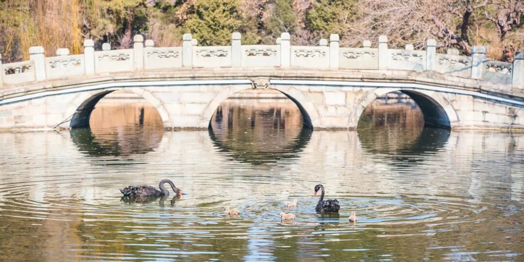 北大经院学者 | 张辉：着眼国家经济安全加快建设现代化产业体系