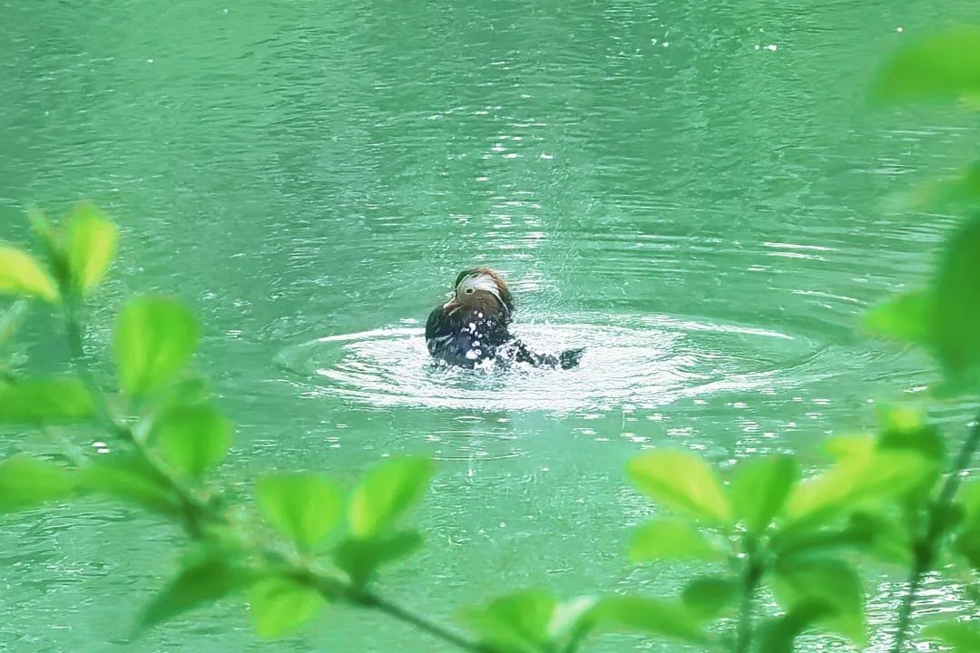 北大经院学者 | 董志勇：以高水平科技自立自强引领北京高质量发展
