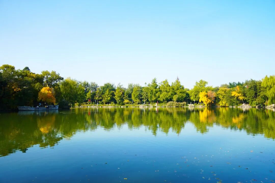 喜讯 | 2026年北京大学经济学院荣获多项国家自然科学基金项目立项