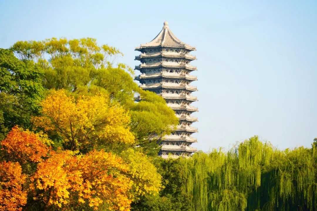北大经院科研 | 年永威助理教授合作论文在Journal of Development Economics发表