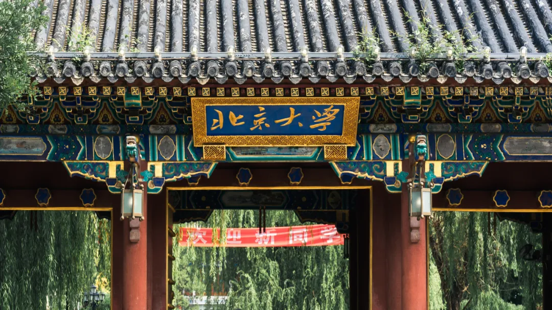 张辉配图.jpg 张辉配图.jpg
