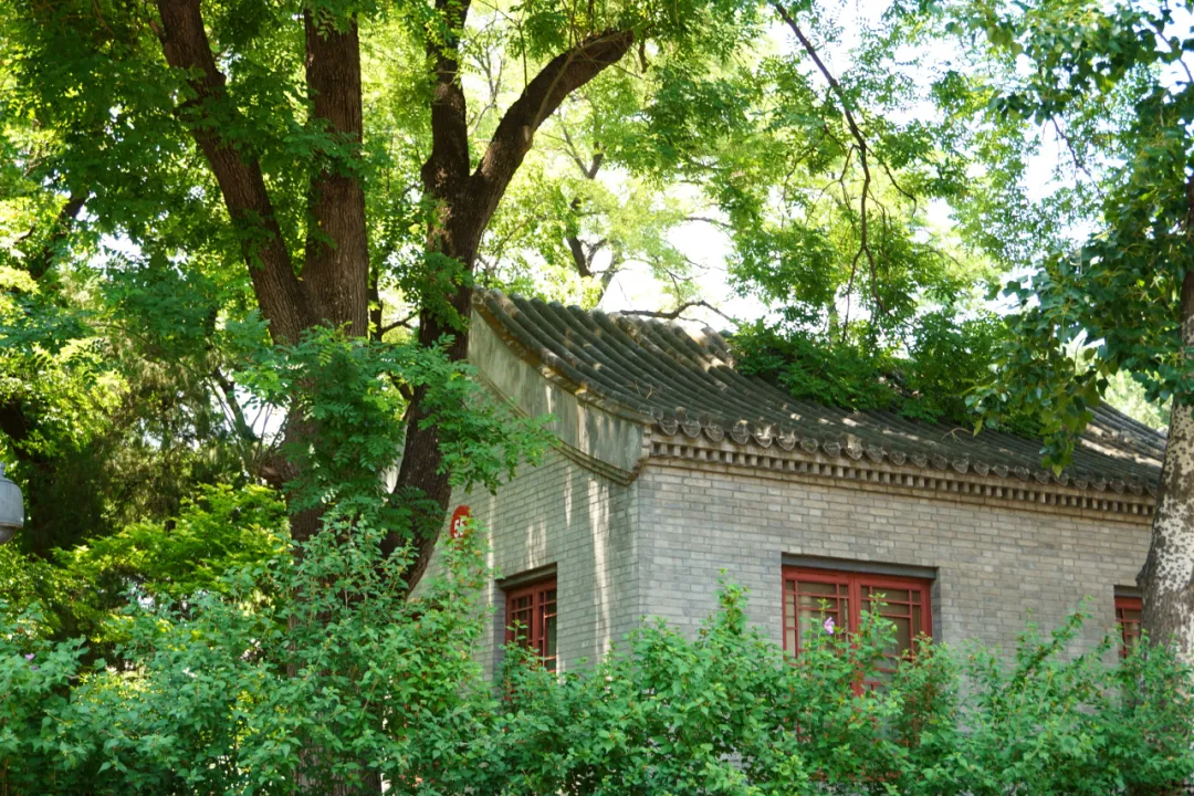 北大经院学者 | 贾若：让巨灾保险从“灾后快赔”走向“全程守护”