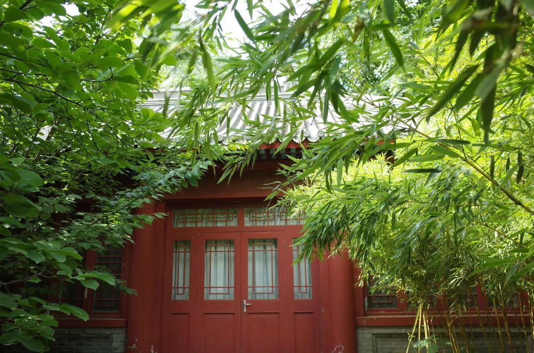 北大经院学者 | 锁凌燕：“十五五”时期我国保险业发展仍处于重要机遇期